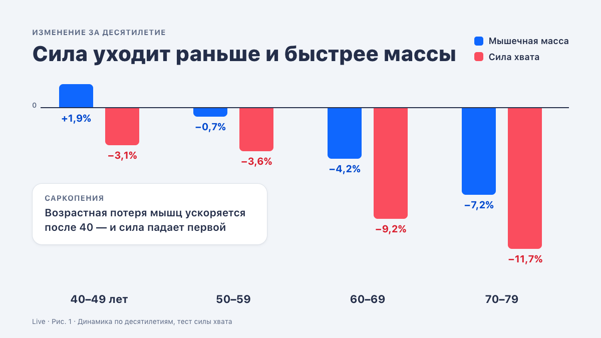 Сила хвата падает раньше и быстрее мышечной массы: динамика по десятилетиям