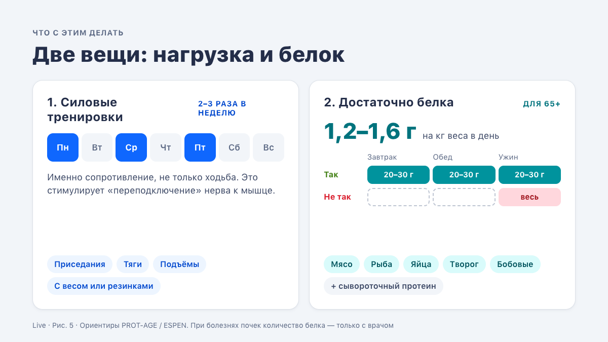 Две вещи: силовые тренировки 2–3 раза в неделю и 1,2–1,6 г белка на кг веса, распределённые по приёмам пищи